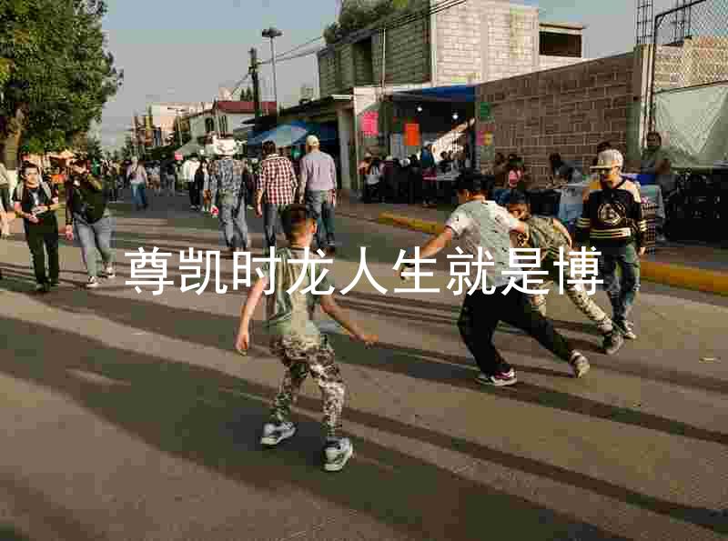 尊凯时龙人生就是博