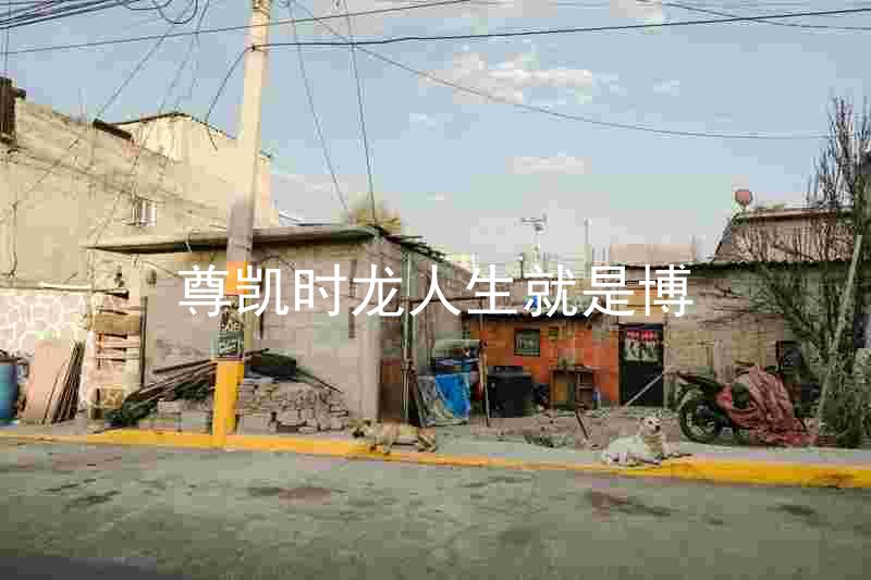 尊凯时龙人生就是博