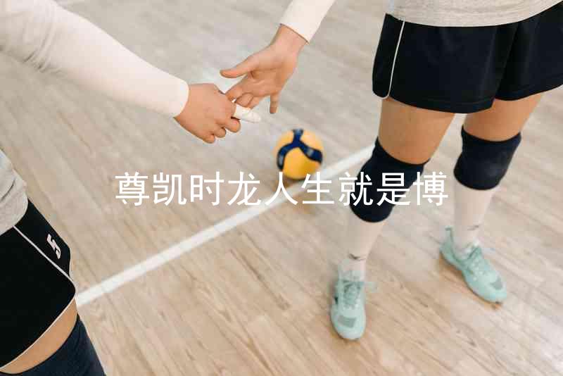 尊凯时龙人生就是博