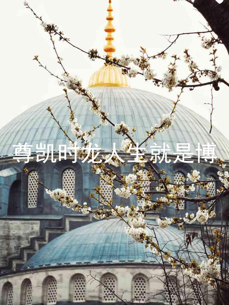 尊凯时龙人生就是博