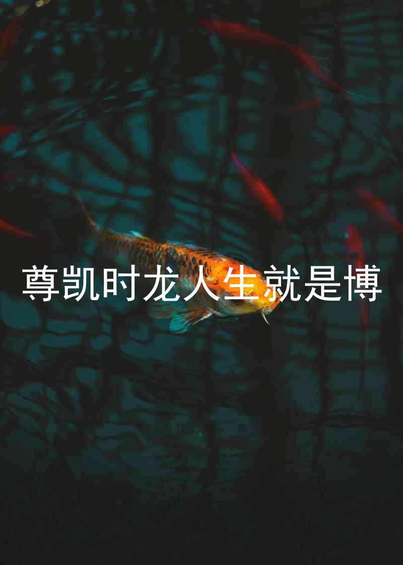 尊凯时龙人生就是博
